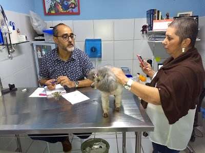 Dr João Emílio Cruz - Médico Veterinário