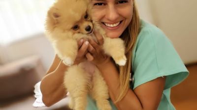 "Dra. Grace Lima - Veterinária em Domicílio"