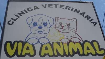 Via Animal - Clínica Veterinária em São Benedito, Santa Luzia, Venda Nova, Vespasiano, Serra Verde